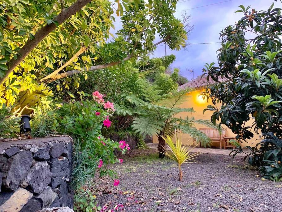 הוילה Breña Baja Rustic House La Montana מראה חיצוני תמונה