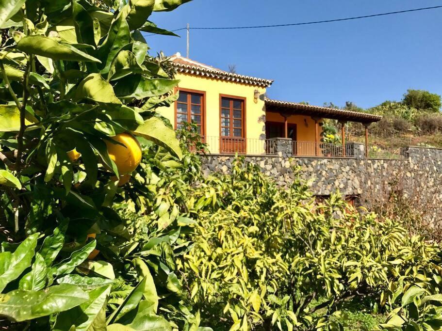 הוילה Breña Baja Rustic House La Montana מראה חיצוני תמונה