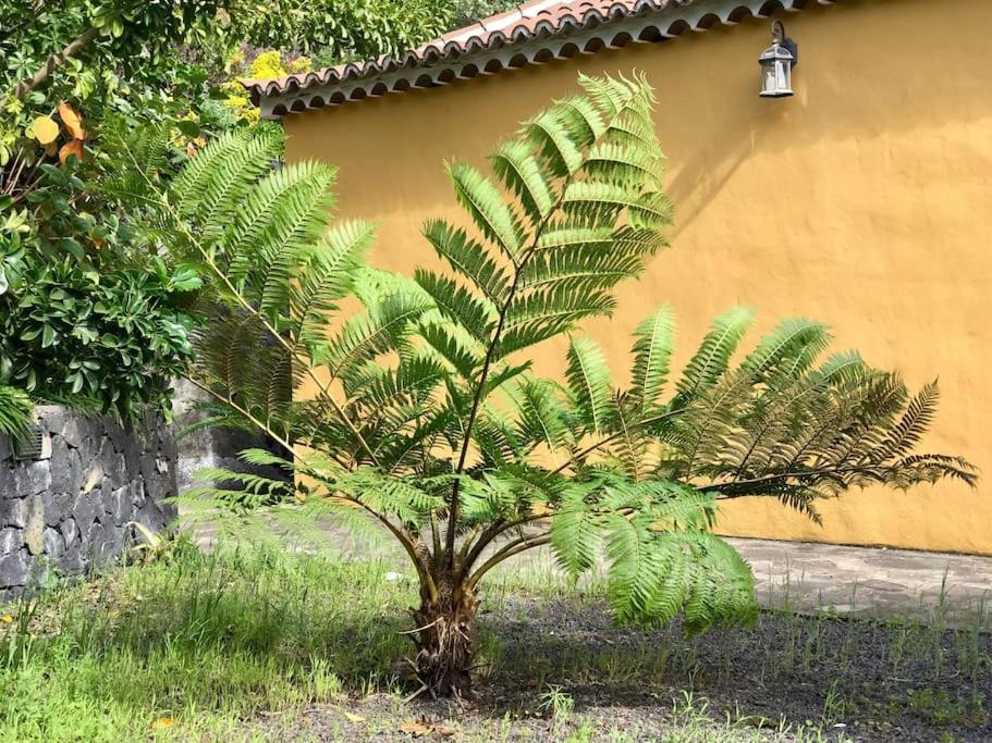 הוילה Breña Baja Rustic House La Montana מראה חיצוני תמונה