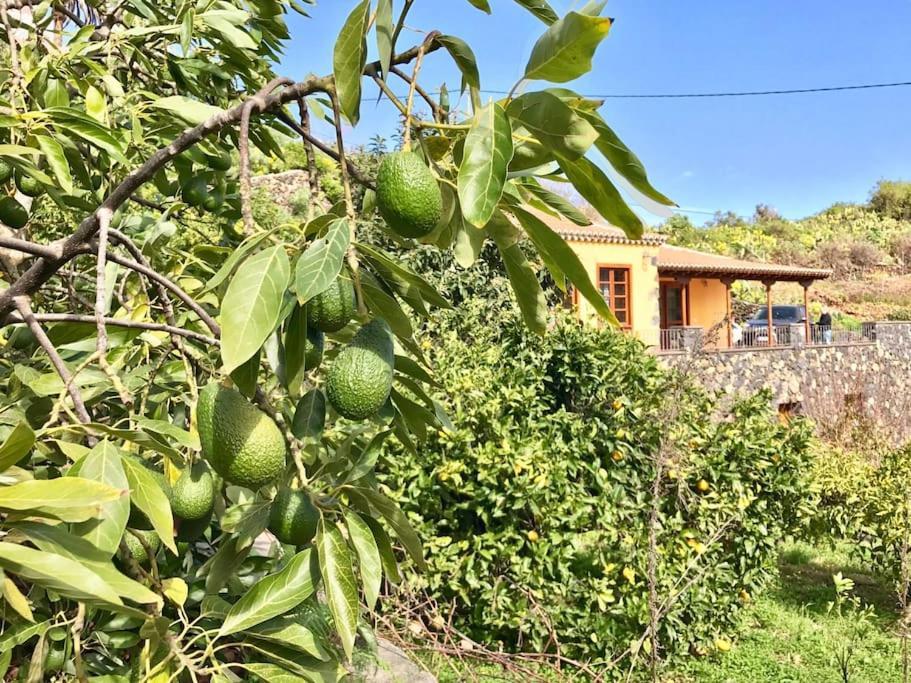 הוילה Breña Baja Rustic House La Montana מראה חיצוני תמונה